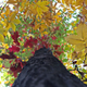 Illustration for article titled Fall Shooting Challenge Gallery 1